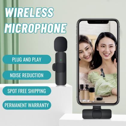 Microphone Portable Audio Video Recording Mini Mic..