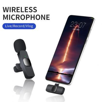 Microphone Portable Audio Video Recording Mini Mic..